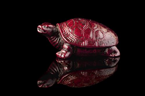 Stone turtle figure on a black mirror surface