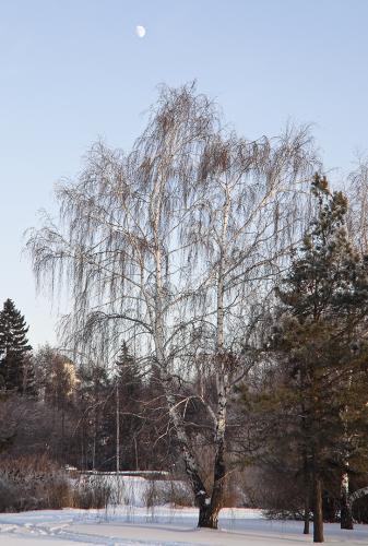 120104-18