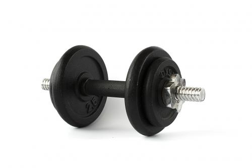 Dumbbell for fitness