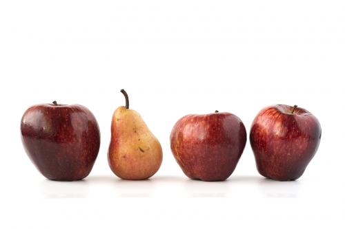 Red apples and plum isolated on white