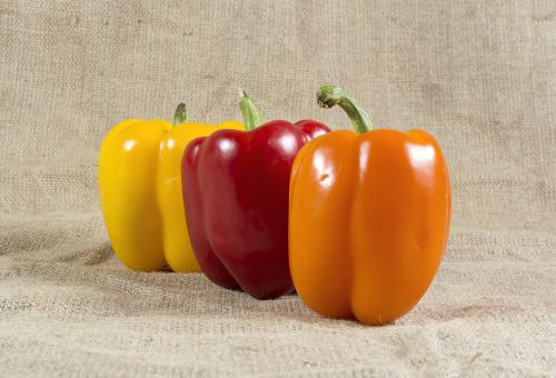 Multicolor sweet peppers on a burlap canvas