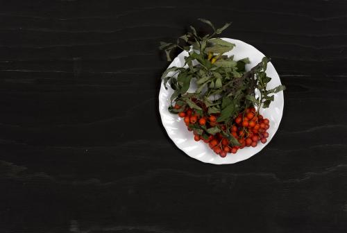 Red ashberry on a white dish on a black wooden surface