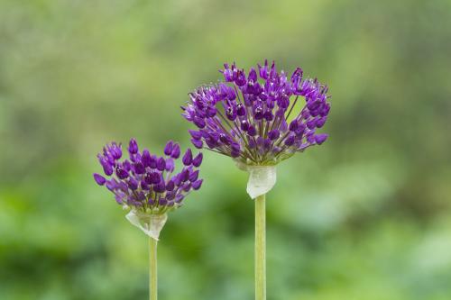 180611x05