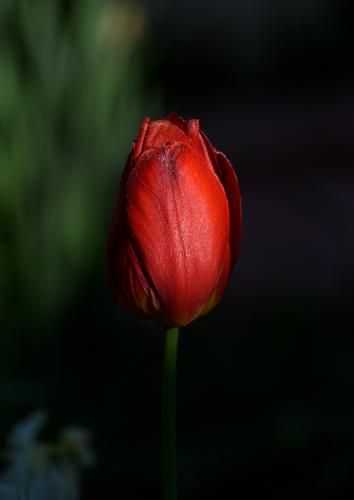 200518x08