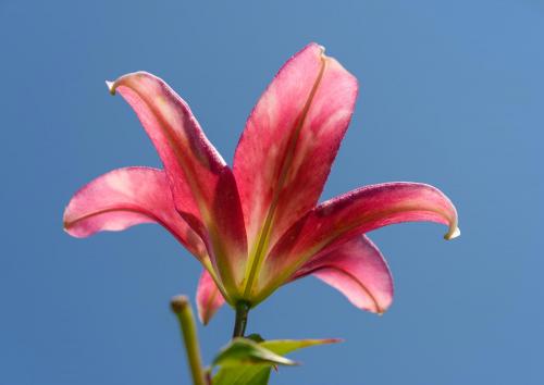 200802x25