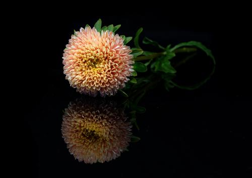 200822x05