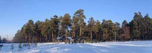 201129x37