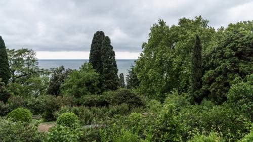 Алупка. Дождь