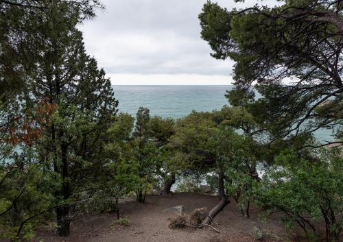 Алупка. Воронцовский парк