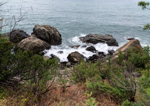 Алупка. Воронцовский парк