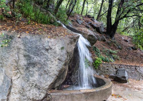 Алупка. Воронцовский парк