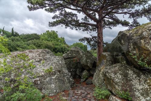 Алупка. Воронцовский парк