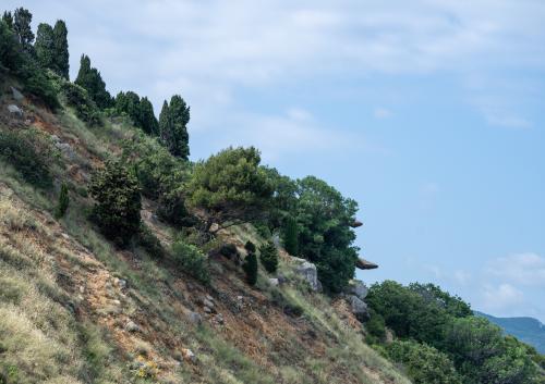 Алупка