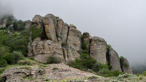 Демерджи