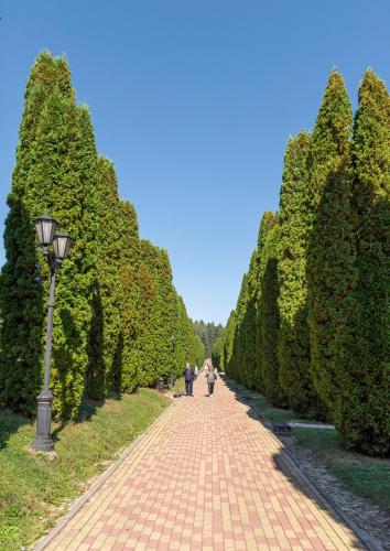 Кисловодск. Долина роз