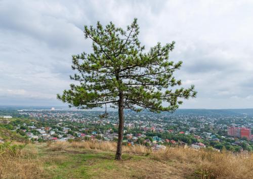 Пятигорск. Край Нагорного парка