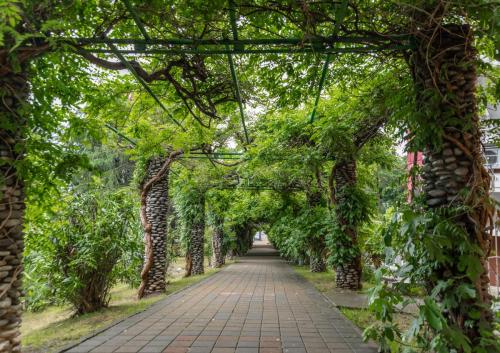 Глициниевая аллея