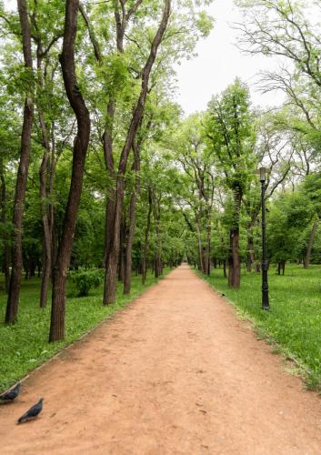 250605x12